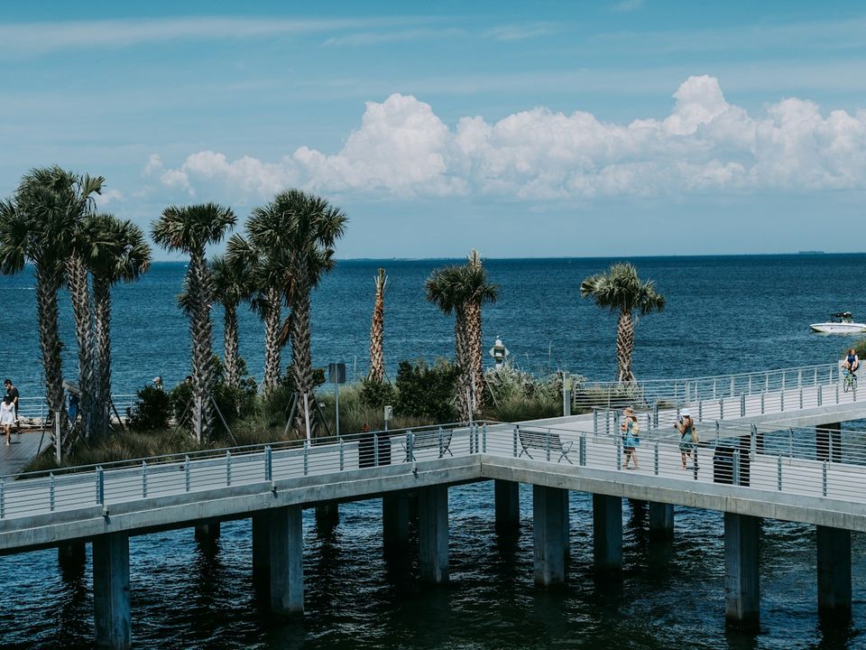 Palm trees on a waterfront pier over Tampa Bay in St. Petersburg